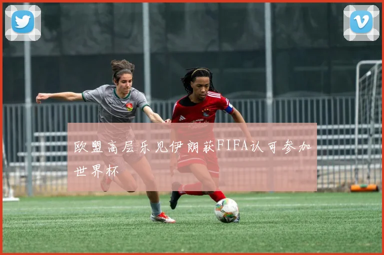 欧盟高层乐见伊朗获FIFA认可参加世界杯